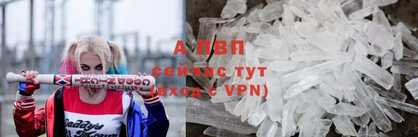 амф Магас