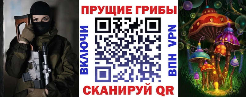 OMG онион  дарнет шоп  Сретенск  Галлюциногенные грибы Magic Shrooms 